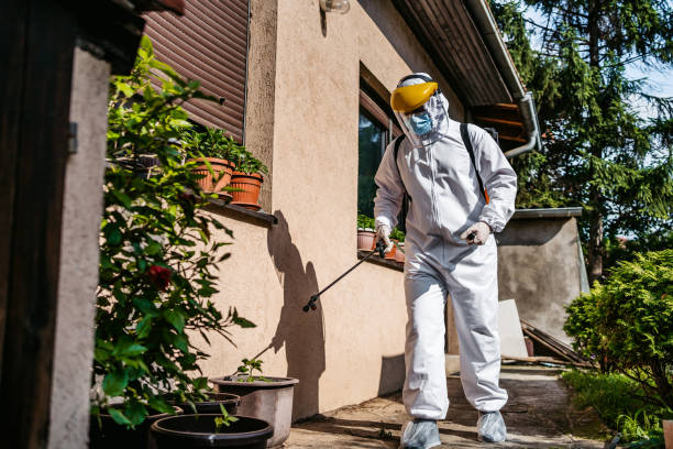 Best Rat Extermination Near Me  in Denton, TX