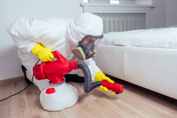 Best Mosquito Control Services  in Denton, TX