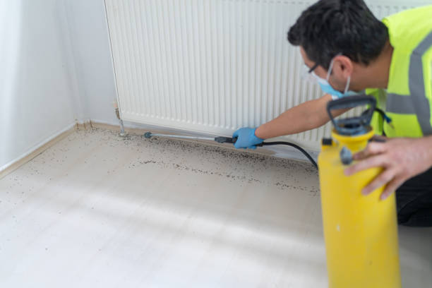 Best Affordable Exterminators  in Denton, TX