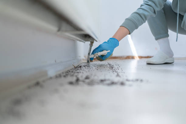 Best Mosquito Control Services  in Denton, TX